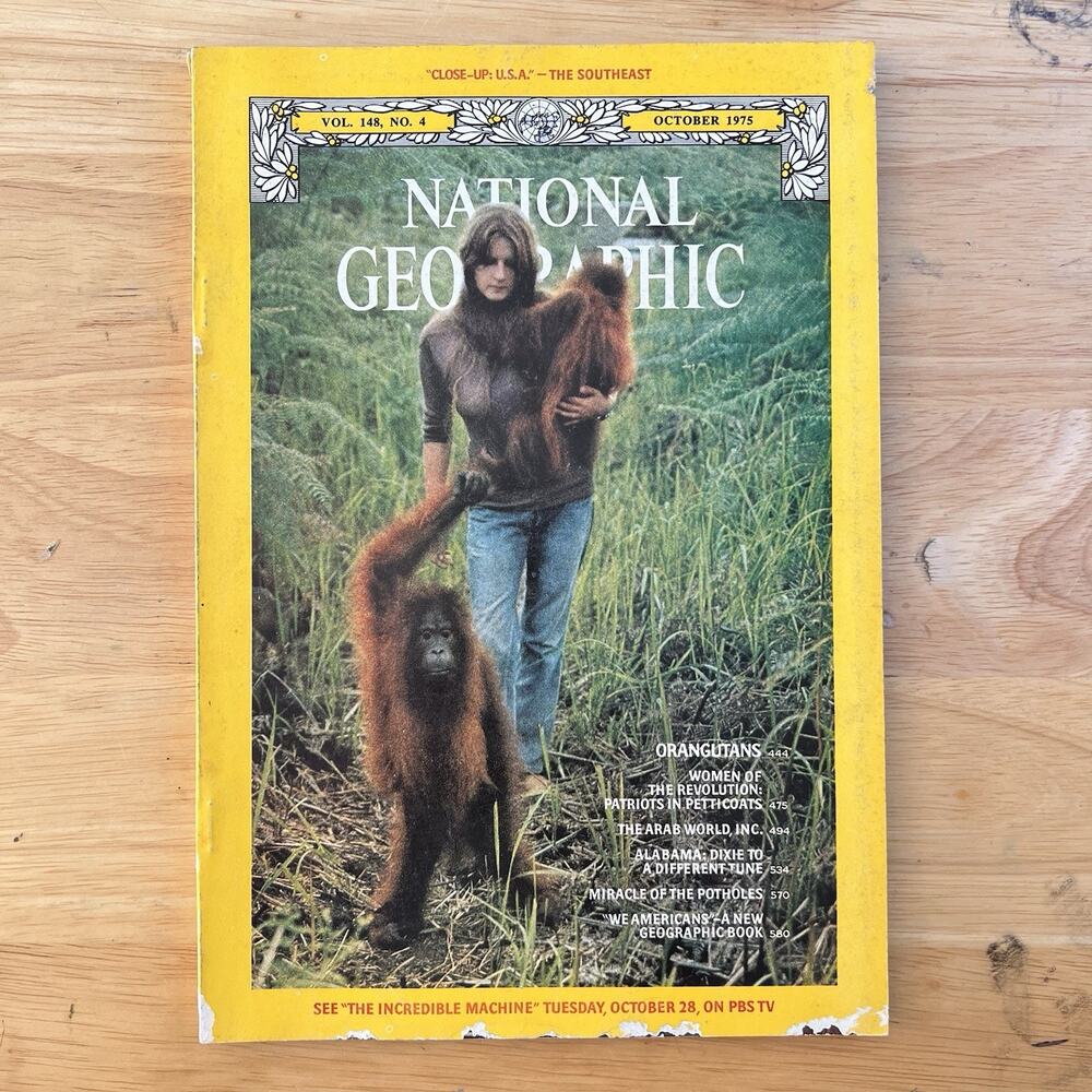 National Geographic October 1975 Orangutans Arab World Alabama Potholes Vintage